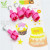 5PCS Star Shape Sugar Cream Craft Heart Chocolate Stamp Biscuit Mold