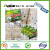 GREEN AVATAR LEAF Mouse trap rat glue trap12*17 CM Super Sticky Low Price Custom Household Rat Glue Traps Mouse KIller