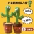 Rechargeable Version Learn to Speak and Dance Swing Cactus Toy Birthday Party Twist Birthday Gift Cactus Doll