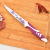 Factory Direct Sales Fruit Knife 4-Piece Stainless Steel Fruit Peeling Knife Roast Flower Knife Set Creative Kitchen Knives