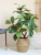 Magnolia Imitative Tree Fake Trees Nordic Instagram Style Large Plant Pot Indoor Net Red Decoration Living Room Decoration