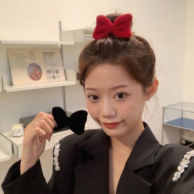 Three-Dimensional Velvet Bow Barrettes Super Fairy Girl Hairpin Sweet Temperament Bang Side Clip All-Match Hair Accessories Japanese and Korean Style