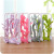 Multifunctional Windproof Folding Drying Rack 12 Clip Underwear Socks Drying Hanger Children's Plastic Drying Rack Stall