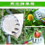 Metal Fruit Fruit-Picking Device Agricultural Garden Hardware Tools Garden Portable Fruit-Picking Device Wholesale