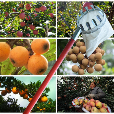 Metal Fruit Fruit-Picking Device Agricultural Garden Hardware Tools Garden Portable Fruit-Picking Device Wholesale