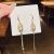 Korean Style Long Fringe Earrings Women's Gold-Plated Diamond Stud Earrings 925 Silver Needle Zircon Hollow Ear Hook