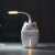 Velostar USB Mini Humidifier Cute Pet Small Night Lamp Humidifier Little Fan Domestic Humidifier Three-in-One