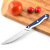 Factory Direct Sales SST Fruit Knife Kitchen Fruit Knife Household Peler 5-Inch Universal Knife Wholesale