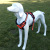 Pet Supplies Dog Hand Holding Rope Chest Strap Dog Leash Vest Manufacturer Chest Strap