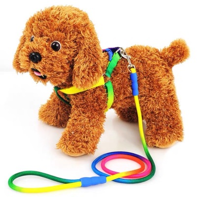 Dog Hand Holding Rope Colorful Chest Strap Household Outdoor Dog Chain Teddy Small Dog round Rope Traction Belt Dog Leash