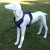 Pet Supplies Dog Hand Holding Rope Chest Strap Dog Leash Vest Manufacturer Chest Strap