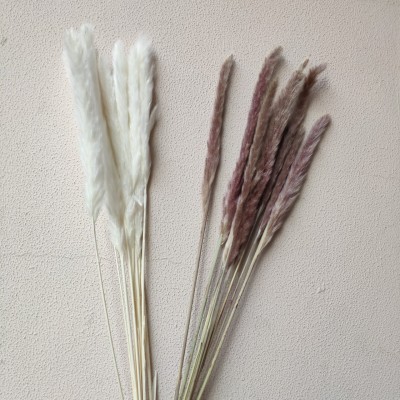 Retro Popular Natural Dried Flower Reed Flower Arrangement Design Photo Frame Oil Painting DIY Background Wall Decoration Dried Flower Material