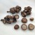 Natural Dried Fruit Shell Rubber Fruit Connecting Rod String Chen Zhi Natural Material Decorative Painting DIY Design Matching Wholesale and Retail