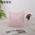 Cross-Border Light Luxury Long Wool Silver Silk Pillow Cover Living Room Bedroom Sofa Cushion Car Bay Window Cushion Simple Cushion Case