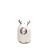 Household USB Mini Aromatherapy Humidifier Car Negative Ion Ultrasonic Humidifier Cartoon Cute Pet Humidifier