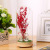 Hot Sale Glass Crafts Bear White Goose Biyibird Dried Flower Glass Cover Led Small Night Lamp Room Decoration Ornaments