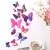 Three-Dimensional Wall Sticker Simulation Butterfly Double-Layer Butterfly Magnet PVC Butterfly Set 12 PCs Wall Sticker Decoration Accessories