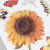 Sunflower Wall Stickers European-Style Home DIY Decoration Three-Dimensional PVC Layer Stickers 3D Vase Wall Stickers Antifouling Style Spot