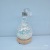 INS Style Nordic Creative Preserved Fresh Flower Micro Landscape Lamp Blister Night Light LED Light Glass Cover Desk Ornaments Pendant