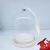 Nordic Creative Bird Cage Glass Cover Night Light Hand Mold Hand-Made Dust Cover LED Luminous Micro Landscape Glass Cover Ornaments