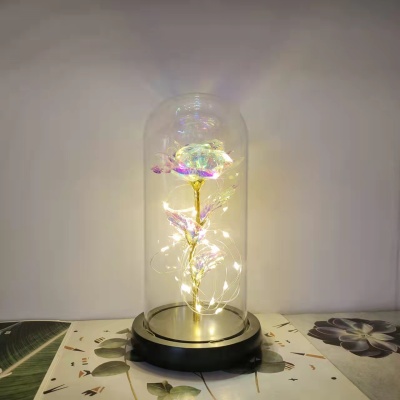 Rose Night Light Decoration Valentine's Day Mother's Day Glass Cover Wishing Bottle Lampshade Glass Furnishing Article