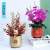 New Year Modern Simple Ceramic Vase Flower Shop Exhibition Flower Device Soft Decoration Home Ornament