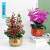 New Year Modern Simple Ceramic Vase Flower Shop Exhibition Flower Device Soft Decoration Home Ornament