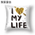 White Gold Color Love Valentine's Day Cushion Case Nordic Ins Mingsu Hotel Pillow Room Living Room and Bedside Pillow Cover HT