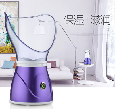 Beauty Steamed Nose Face Steaming Household Moisturizing Face Steaming Ionic Fruit and Vegetable Face Steaming Instrument