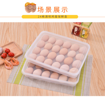 Manufacturer Plastic Pp Egg Storage Box Transparent Rectangular Taizhou 24 Grid Egg Storage Box Dumplings Box Wholesale