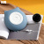 Zhongfu New Silicon Hot-Water Bag Charging Cute Hot Compress Heating Pad Cat Heating Pad Female Office Winter Portable