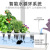 Hydroponic Plant Machine Indoor Full Spectrum Plant Growth Lamp Led Amazon Hot Smart Vegetable Planter