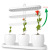 Succulent Flower Pot Plastic Rectangular Tray Base Large Caliber Creative Personality Small Pot Plant Green Dill Hydroponics Dedicated