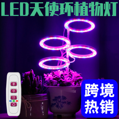 Cross-Border New LED Angel Ring Plant Growth Lamp Indoor Full Spectrum Succulent Plant Fill Light Intelligent Timing