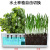 Soilless Cultivation Intelligent Hydroponic Vegetable Flower Planter Full Spectrum Plant Growth Lamp