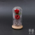 Fashion Simulation Preserved Fresh Flower Glass Cover Rose Fresh Dried Flower Cross-Border Creative Gift Decoration 520 Qixi Confession
