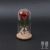 Preserved Fresh Flower Crafts Rose Flower Prince Princess Doll Glass Cover Christmas Gift Factory Spot Direct Sales