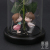 Preserved Fresh Flower Crafts Rose Flower Prince Princess Doll Glass Cover Christmas Gift Factory Spot Direct Sales