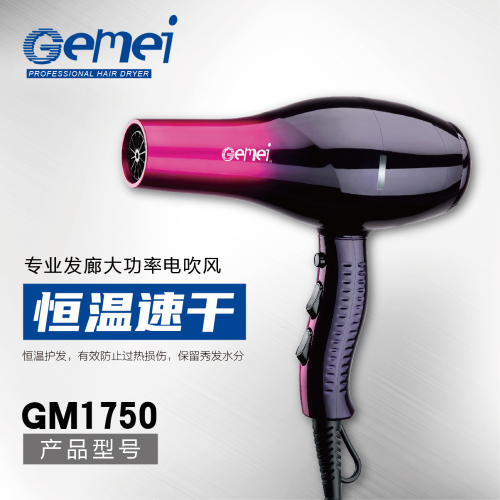 Gemei1750 Hair Dryer Hot and Cold Constant Temperature Hair Dryer High Power Hair Dryer Wholesale Hair Salon Household Electric Blower