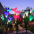 LED Solar Flower Simulation Lily Festive Lantern Courtyard Garden Decorative Lamp Lawn Plug-in Lamp Outdoor Waterproof Lamp