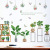 Green Plant Potted Wall Stickers Removable Cross-Border Hot Entrance Decoration Stickers Living Room Bedroom Sofa Cabinet HT Series