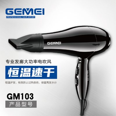 Gemei 103 cross-border hair dryer negative ion high power with cold wind household dormitory
