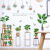 Green Plant Potted Wall Stickers Removable Cross-Border Hot Entrance Decoration Stickers Living Room Bedroom Sofa Cabinet HT Series