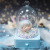 Internet Celebrity Dream Preserved Fresh Flower Star Light Bedroom Bedside Table Jewelry Box Small Night Lamp Decoration Children Birthday Gift