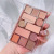 Twelve Colors Eye Shadow Plate Shimmer Matte Sequins Highlight Repair Blush Eye Shadow Combination Makeup Palette