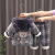  Children's Suit Autumn and Winter Western Style Boys and Girls Thick Quilted Sweater Coat Sweatpants Three-Piece Suit