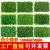Simulation Plant Wall Indoor Garden Decoration Eucalyptus Fake Turf Green Plant Background Wall Lawn Plastic Flowers Wholesale
