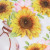 Sunflower 3D Vase Layer Stickers Living Room Bedroom Cabinet Door Wall Home Decoration Self-Adhesive Wall Sticker Decoration