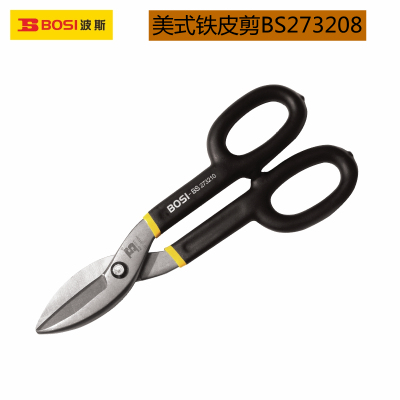 American Style Tin Snips Bs273208/Bs273210/Bs273212/Bs273214