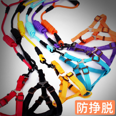 Dog Hand Holding Rope Pet Dog Rope Medium and Large Explosion-Proof Hand Holding Rope Pet Supplies New Source Manufacturer